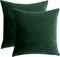 Velvet Decorative Throw Pillow Covers Cushion Cover Pillow Case for Sofa Couch Bed Chair,Soft Square Dark Green Throw Pillows 18x18 Inch,Set of 2